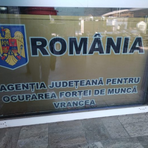 Ofertă de locuri de muncă disponibilă la AJOFM Vrancea