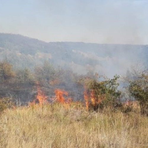 Pompierii militari au intervenit pentru stingerea a nouă incendii de vegetație uscată