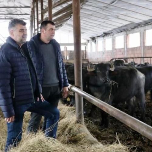 Vizita premierului Marcel Ciolacu în Vrancea, în ziua deschiderii Jocurilor Olimpice de la Paris