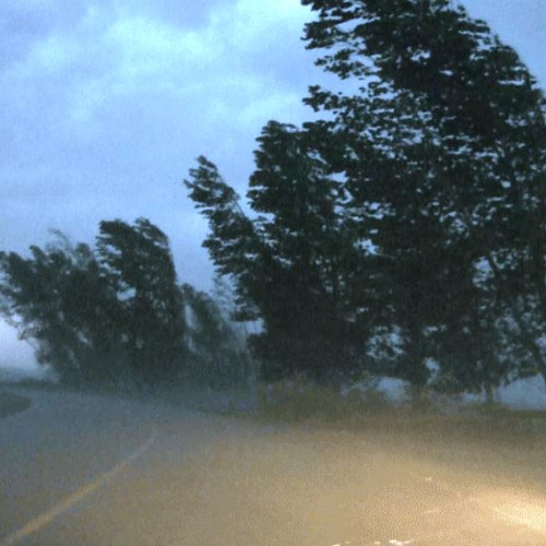 Meteorologii avertizează: cod galben de vânt puternic în estul țării