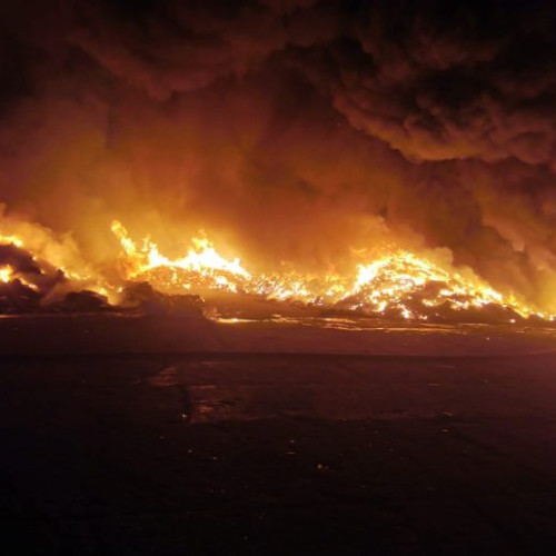 Incendiu în Adjud la o societate de colectare a deșeurilor