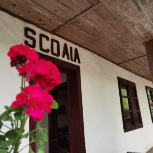 Pasionații de cultură și istorie sunt invitați să exploreze muzee în Vrancea pe 31 august 2024