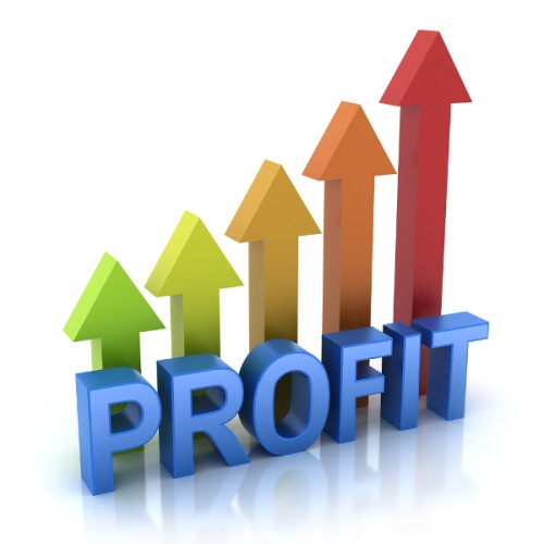 Vrancea: 27.511 agenți economici și o cifră de afaceri de 1,3 miliarde lei în 2023