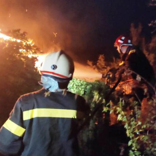 Incendiu devastator în satul Lastuni din comuna Dumitrești