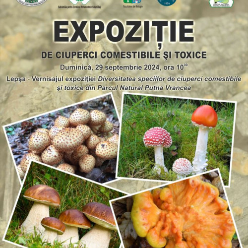 Expoziție cu specii de ciuperci comestibile şi toxice, la Lepșa
