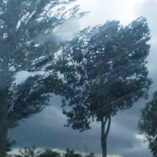 Meteorologii anunță cod galben de vânt puternic în Vrancea și alte județe