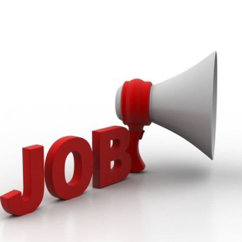 Peste 230.000 de locuri de muncă disponibile pe eJobs.ro în primele nouă luni ale anului