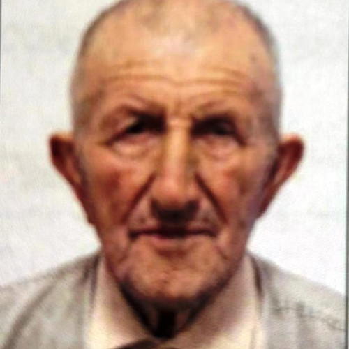 Dispariție misterioasă în satul Bârsesti: Un bărbat de 94 de ani a plecat de acasă
