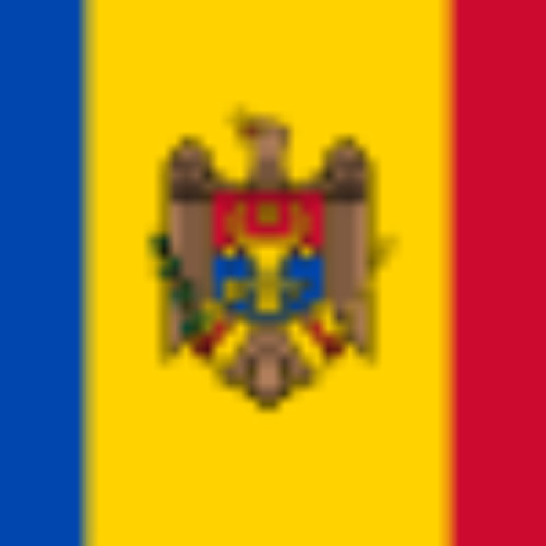 Peste 54% dintre moldoveni au votat în turul al doilea al alegerilor prezidențiale