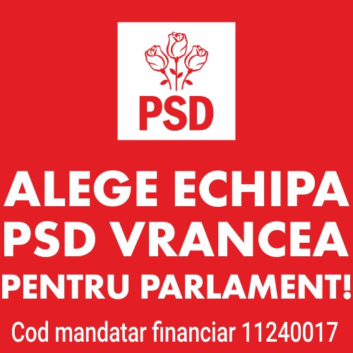 Pe 1 decembrie, alegerea PSD Vrancea pentru Parlament