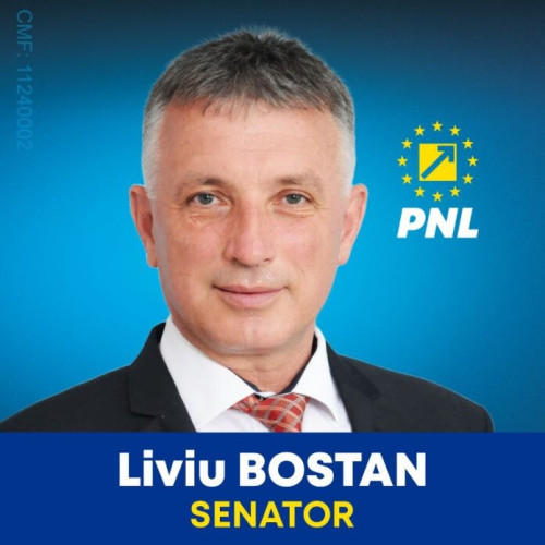 Analiză a situației românilor din Diaspora de către Liviu Bostan