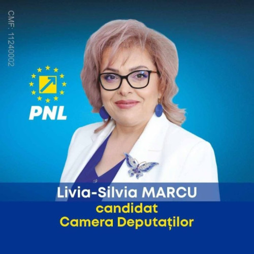 Livia Marcu propune centre after school pentru educația copiilor din mediul rural