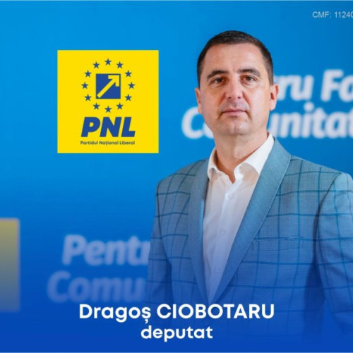 Dragos Fanica Ciobotaru candidează pentru funcția de deputat în Parlamentul României