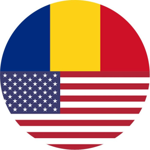 Statele Unite își exprimă îngrijorarea față de implicațiile Rusiei în alegerile românești
