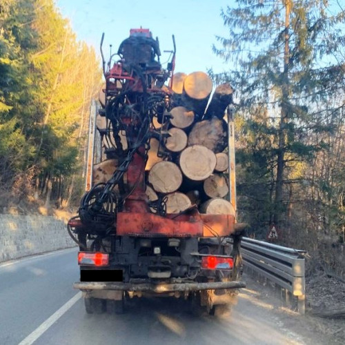 Controale în Vrancea: nereguli în transportul materialelor lemnoase