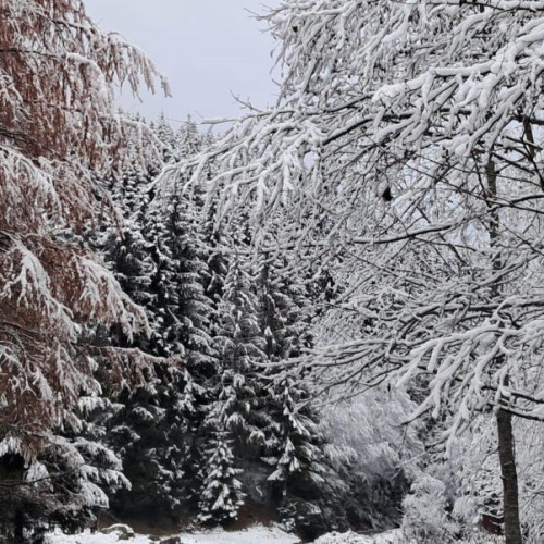 Meteorologii anunță precipitații în mare parte din țară până mâine la prânz