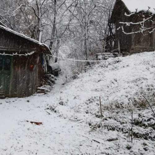 Avertizări meteorologice cod galben pentru județul Vrancea