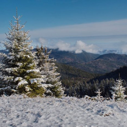 Avertizări meteorologice: cod galben de vânt pentru zonele montane