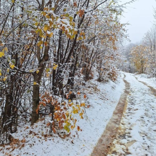 Avertizări meteorologice: vânt puternic și viscol în mai multe zone din țară