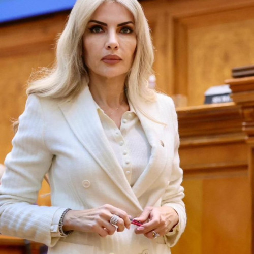 11 inculpați reținuți pentru infracțiuni economice grave