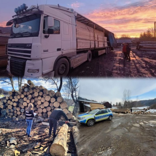 Acțiune a poliției pentru verificarea legalității exploatării lemnului