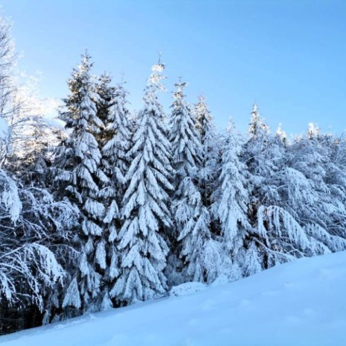 Prognoza vremii pentru februarie, anunțată de Administrația Națională de Meteorologie