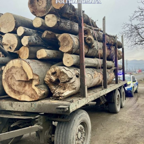 Acțiuni împotriva delictelor silvice în Vrancea