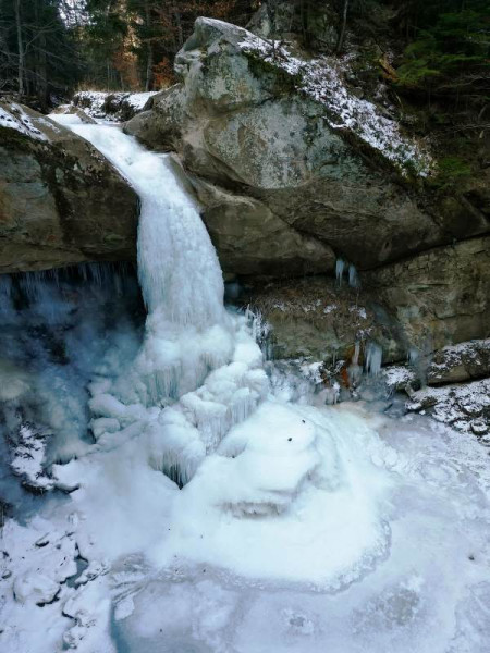 Image Description