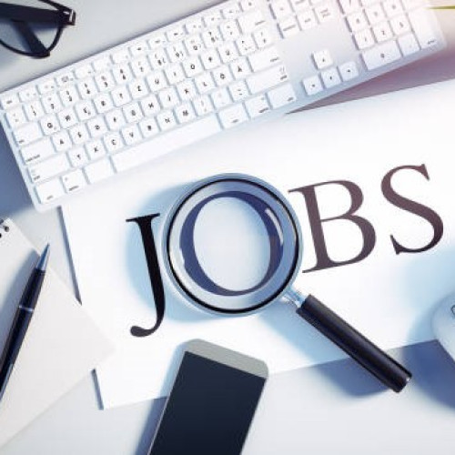 300 de locuri de muncă vacante în Spațiul Economic European