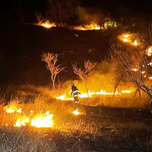 Incendiu de vegetație la Lastuni, cu intervenția SVSU Dumitresti