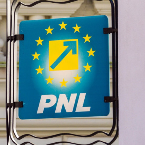 Suspendarea ridicării vizelor pentru români, o măsură temporară, afirmă liberalii