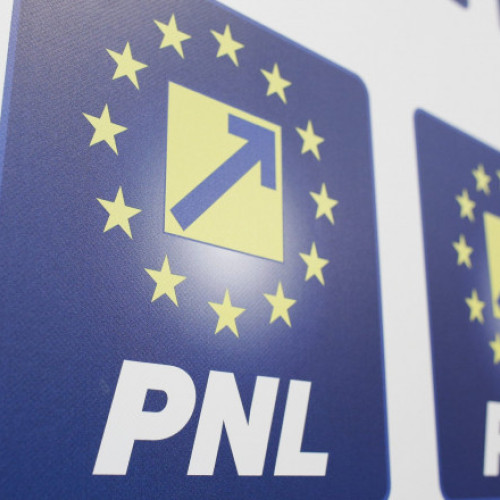 PNL Suceava exclude primarul din Rădăuți, Bogdan Loghin