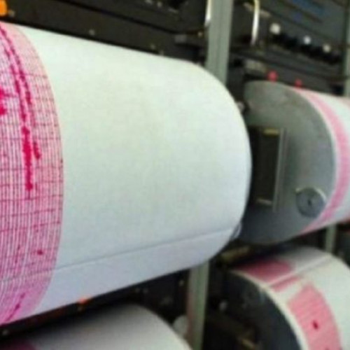 Două cutremure în zona seismică Vrancea