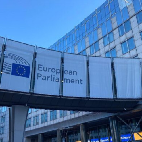 Parlamentul European instituie Ordinul European de Merit