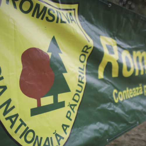 Silvicultorii protestează împotriva reorganizării Romsilva