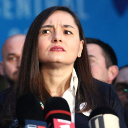 Partidul Oamenilor Tineri se află în criză după seria de demisii