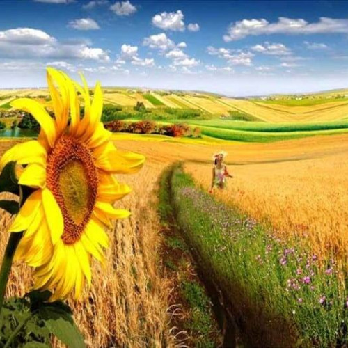 Prognoza meteo pentru următoarele patru săptămâni în România