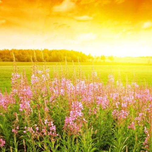 Temperaturi peste normele sezoniere în Moldova la începutul lunii iunie, potrivit ANM