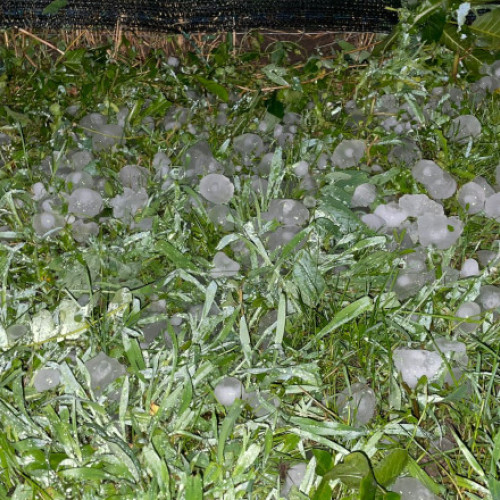 Meteorologii au emis alerte de vreme severă pentru mai multe zone din țară, inclusiv cod roșu de furtuni și grindină de mari dimensiuni pentru județele Argeș, Dâmbovița și Prahova, relatează digi24.ro. Potrivit informațiilor, în aceste zone sunt așteptate ploi torențiale, descărcări electrice, vijelii și grindină de dimensiuni mari, iar fenomenele se vor menține și în orele următoare.