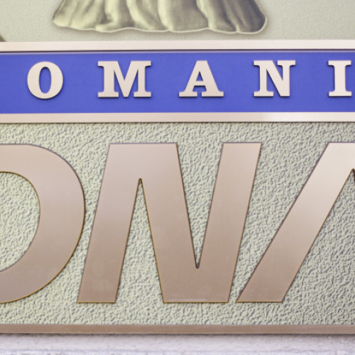 conferință despre combaterea mitei în oficialii străini organizată de DNA
