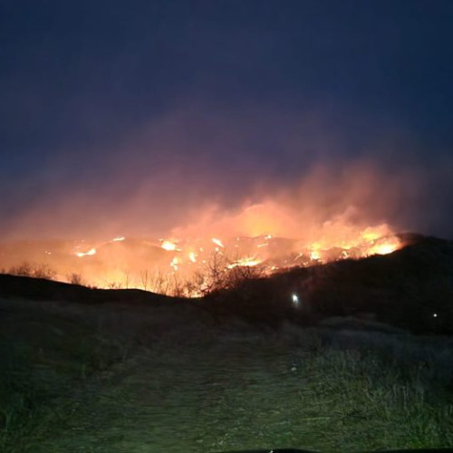 Flăcări puternice distrug peste 40 ha de vegetație în Dumitrești și Gura Caliței - VIDEO-FOTO