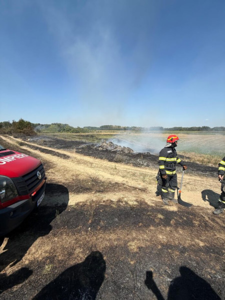 Incendiu de vegetație în satul Rădulești, Vrancea