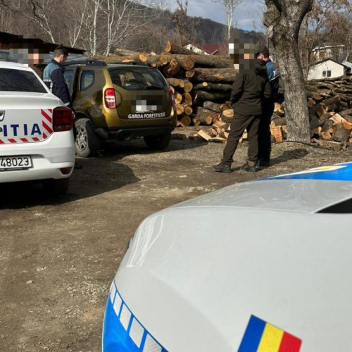 Polițiștii vrânceni au confiscat peste 8.600 mc de lemn în anul 2023