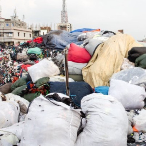 Parlamentul European adoptă lege pentru reducerea risipei alimentare și a deșeurilor textile