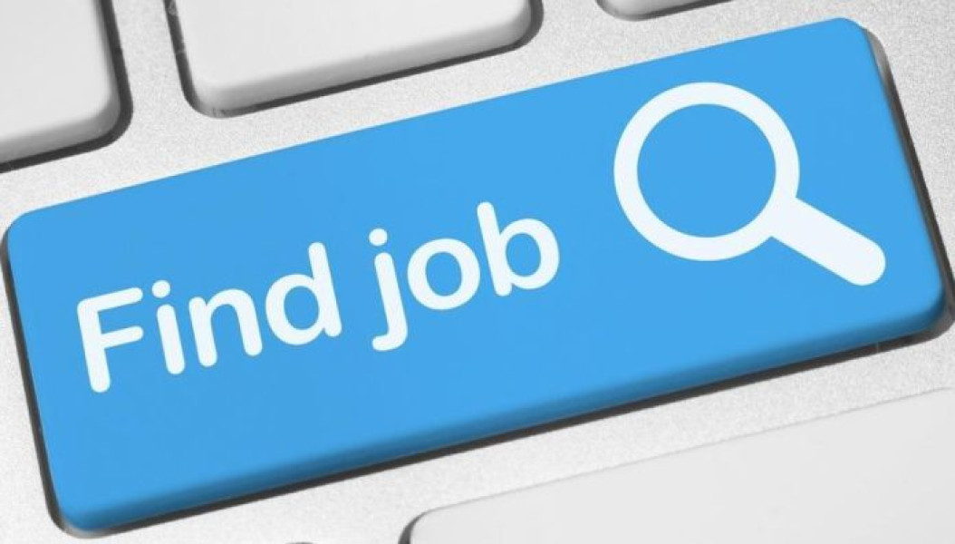 Tinerii 18–24, printre cei mai activi în aplicările de angajare din septembrie