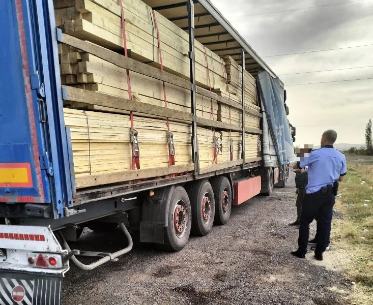 Acțiune silvică în Vrancea: 53 controale și 28 de sancțiuni