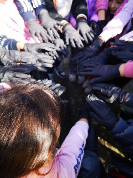 România sărbătorește ziua de curățenie națională cu peste 9.000 de voluntari din Vrancea