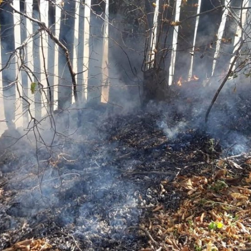 Bărbat găsit mort într-un incendiu de vegetație în Broșteni, Vrancea