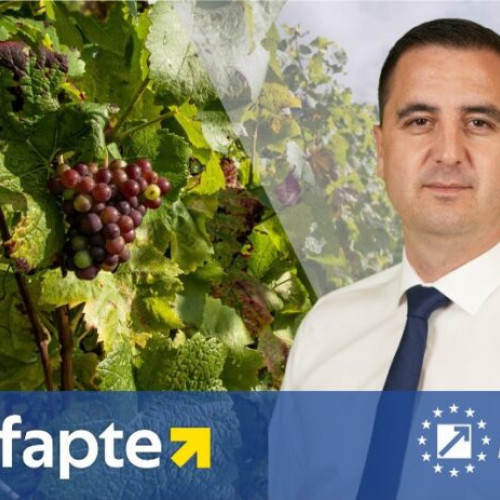 Dezvoltarea viticulturii din Vrancea, prioritate absolută pentru viitorul județului | Dragoș Ciobotaru: „Viticultorii înnobilează cu profesia lor, stema județului Vrancea”
