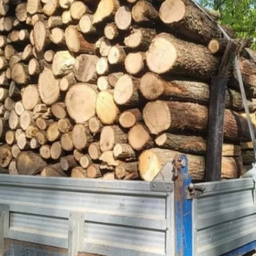 Un vâlcean surprins în Buzău cu lemne fără acte necesare